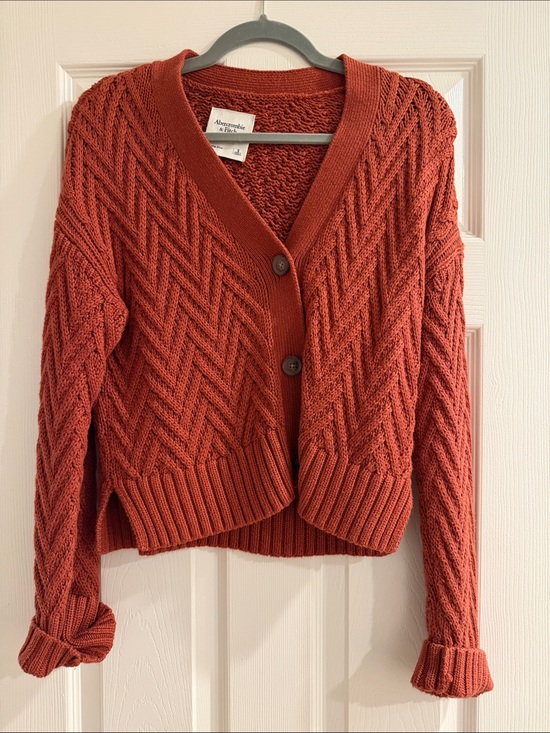 Abercrombie & Fitch Sweaters - Abercrombie & Fitch Rust-Orange Textured Button Cardigan